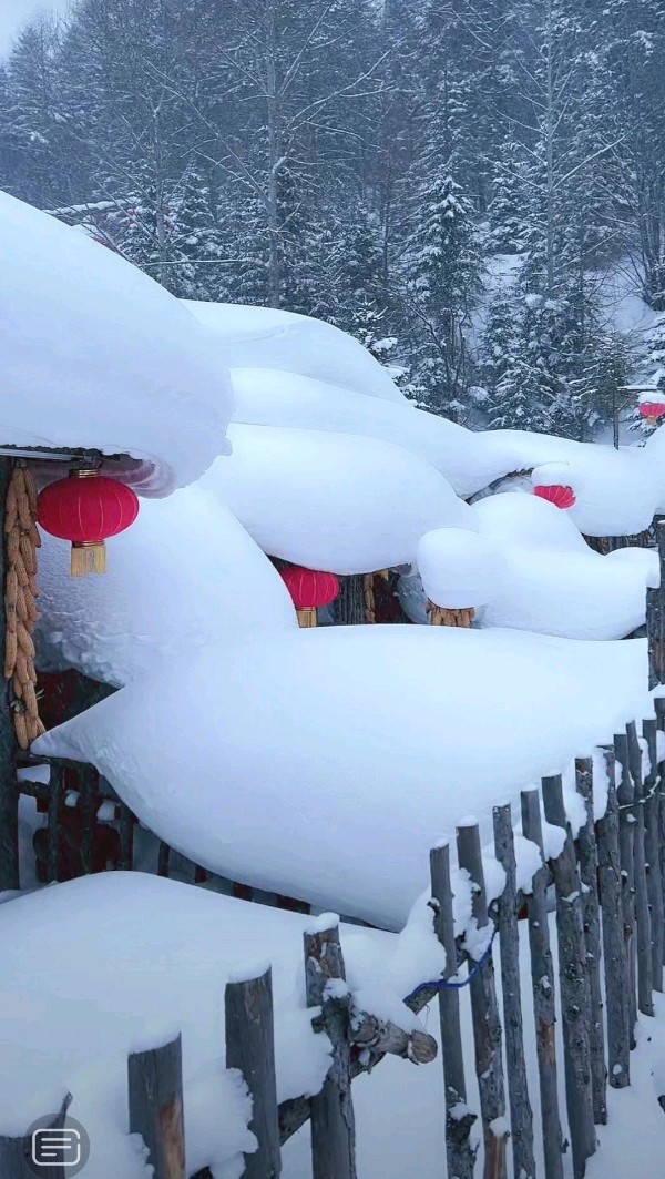 弘华朗诵古韵二首【朝中措*美轮美奂的雪乡‖踏莎行*梦幻雪乡】作者/胡玲玲（图5）