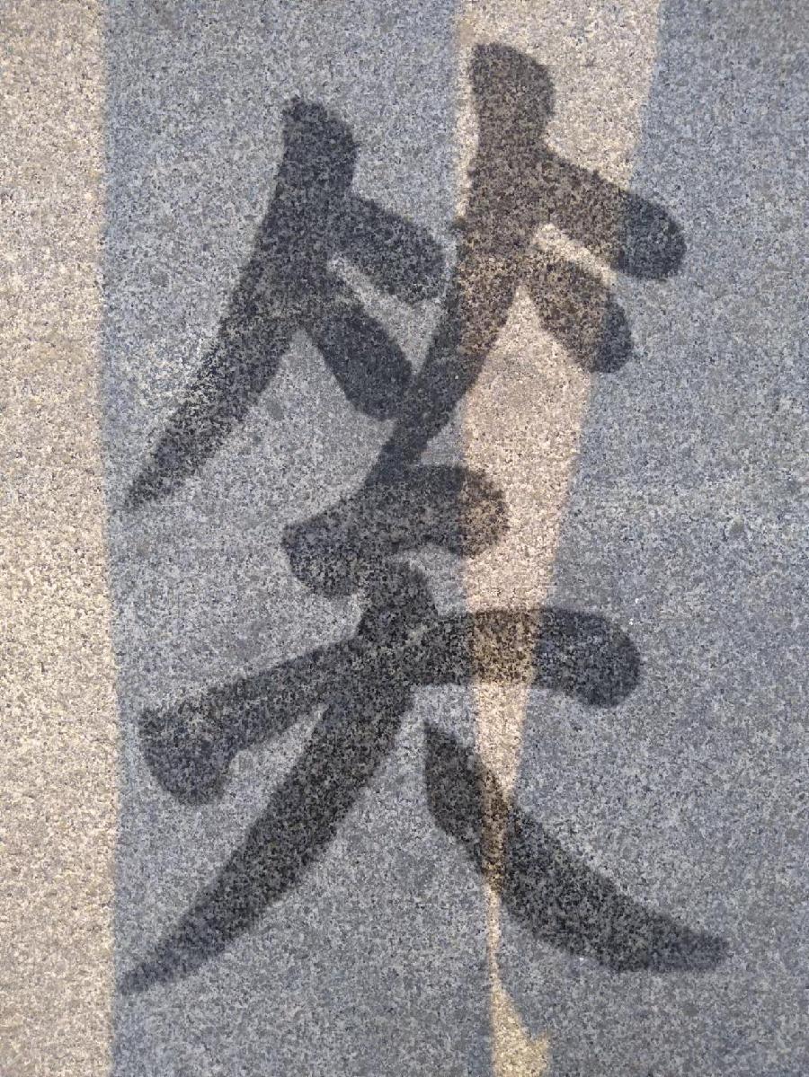 最美散文连载（一）【青荷文学社】青春岁月付磋砣，深情怀念“布衣总理，陈永贵” 作者/张振华（散文名家）（图16）