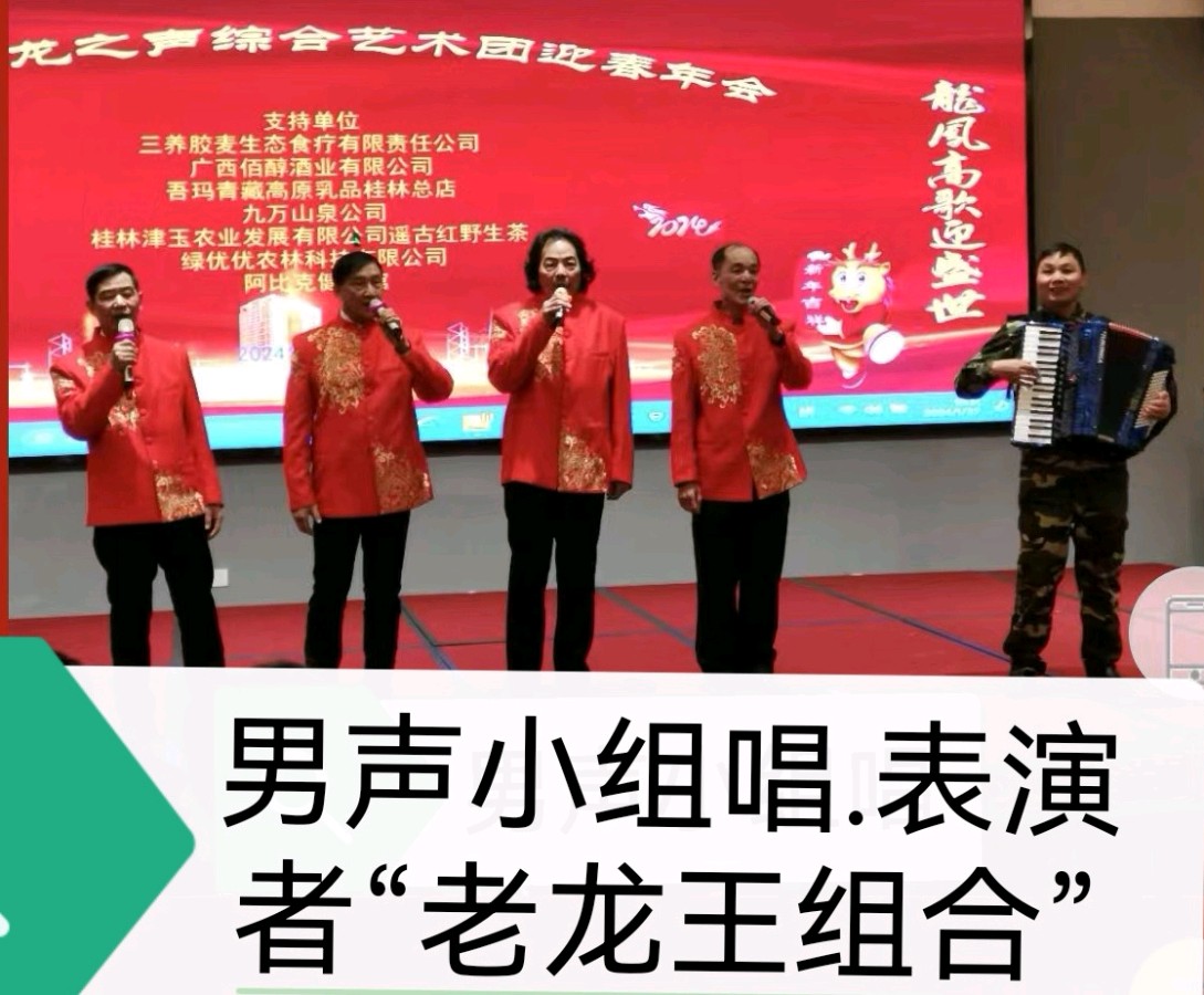 桂林市龙之声综合艺术团见闻∥双龙盛会漓江畔 百雁新图独秀边∥中国桂林都市漓江诗书画社(第137期)(图72)