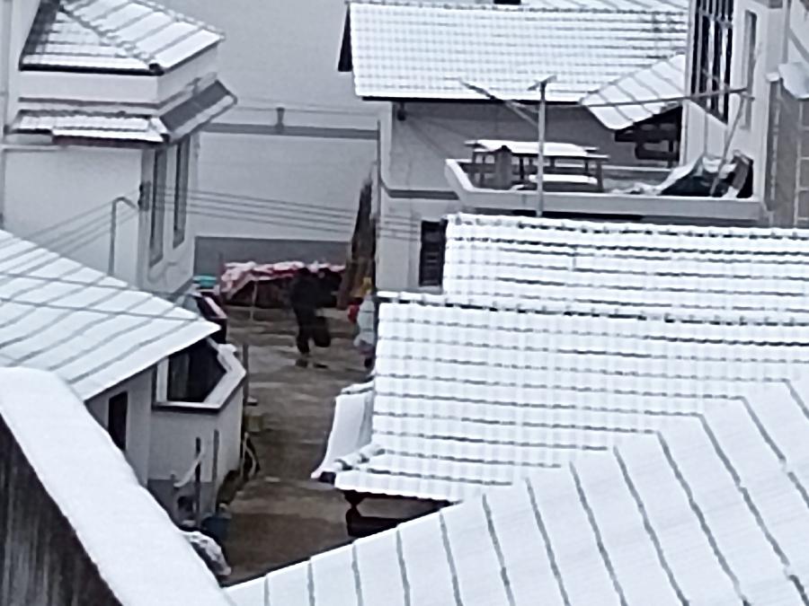 西江月-观雪感怀～诗||直白（图12）