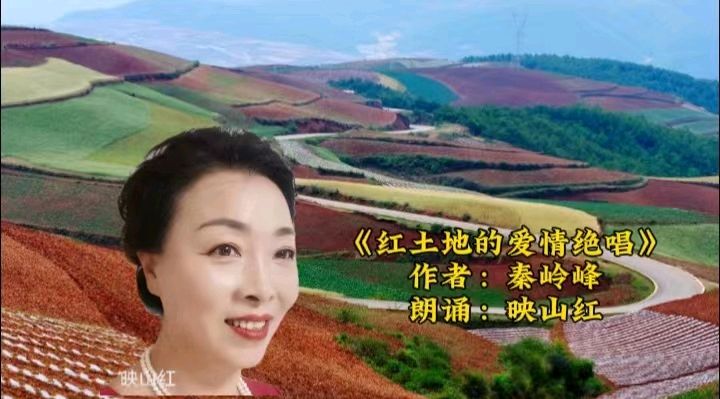 心灵驿站喜迎新春佳节语音条专场晚会完美收官（图7）