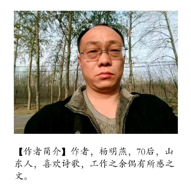 【上海头条】诗生活‖杨明燕新诗专辑（图2）