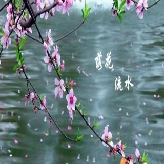 【经典推荐】昨夜天//缘浅情深 庄周一生梦一蝶（图3）