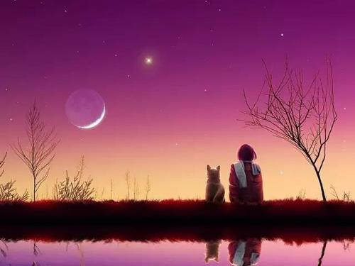 【经典推荐】昨夜天//缘浅情深 庄周一生梦一蝶（图7）