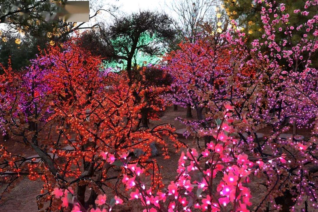 【经典推荐】昨夜天//缘浅情深 庄周一生梦一蝶（图5）