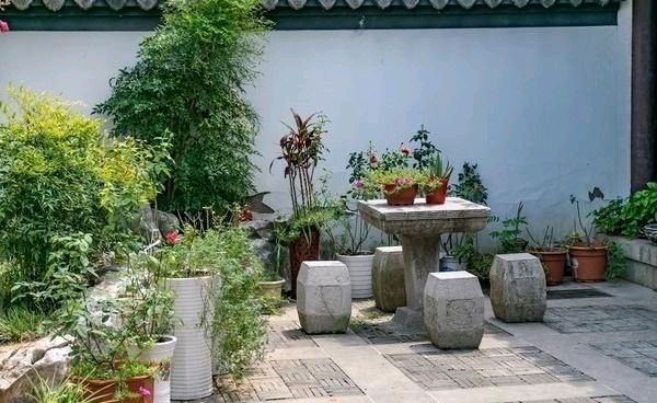 【经典推荐】丁旭//七律•老农真言[外一首]（图5）