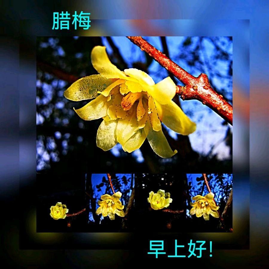 联机全球发布马洪武作品欣赏（图235）