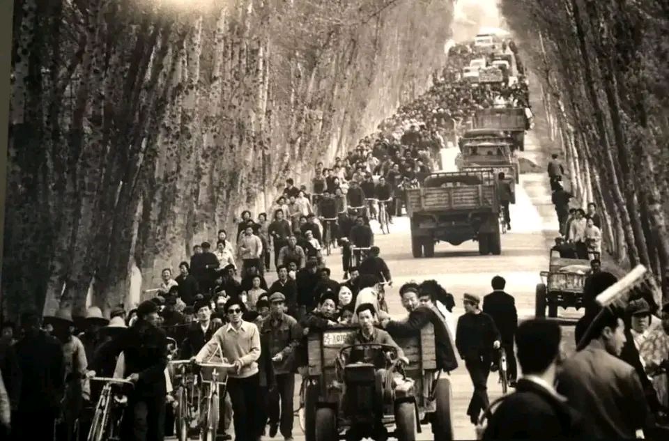 《追上命运的脚步》作者:狄安娜【主播:燕子】【桃源国际诗歌文化传媒】用声音传递温暖以诵读致敬人生♬（图8）