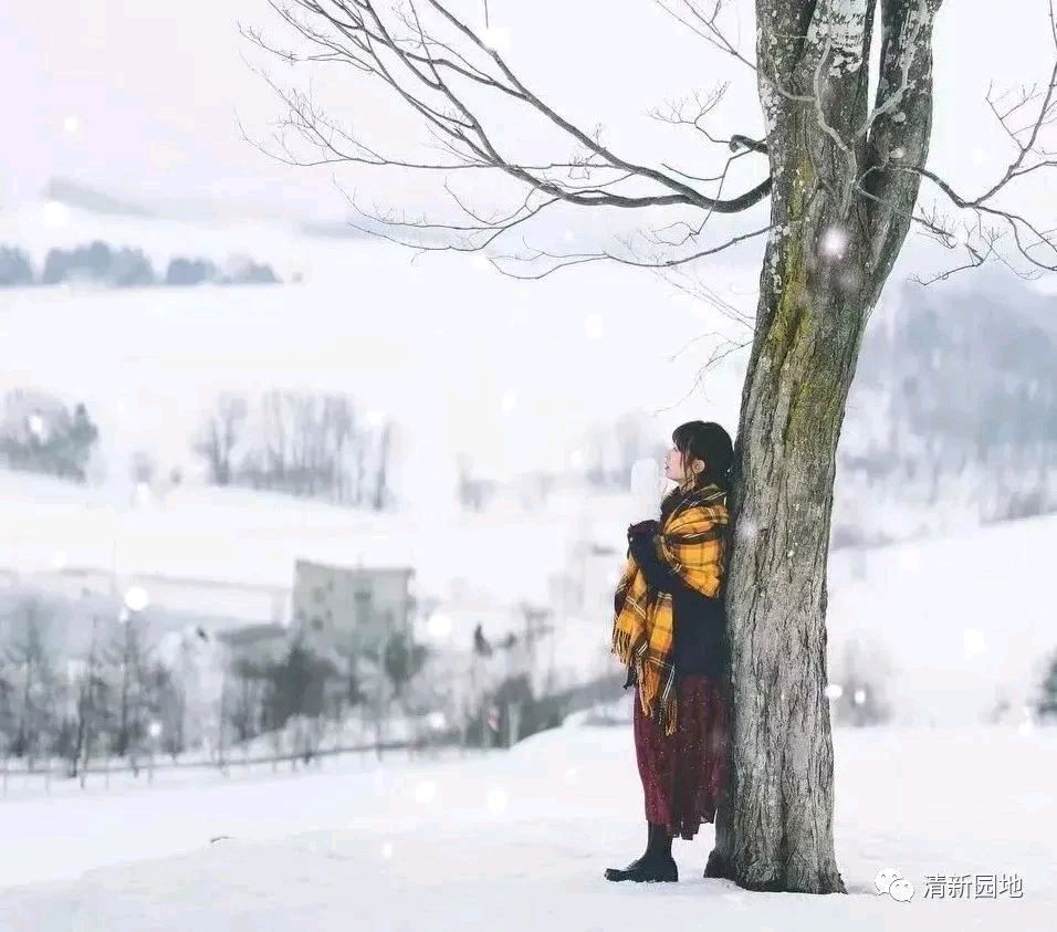 《在岁月的湍流中》文/林晓英（福建）（图3）