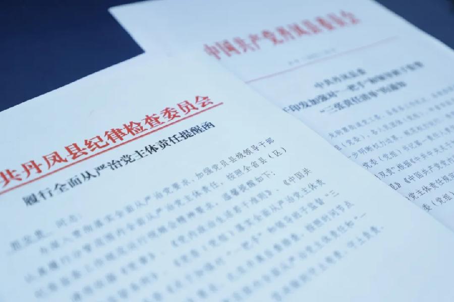 惩贪治腐清风扬 铁纪护航促发展----—2023年丹凤县纪检监察工作综述（图8）