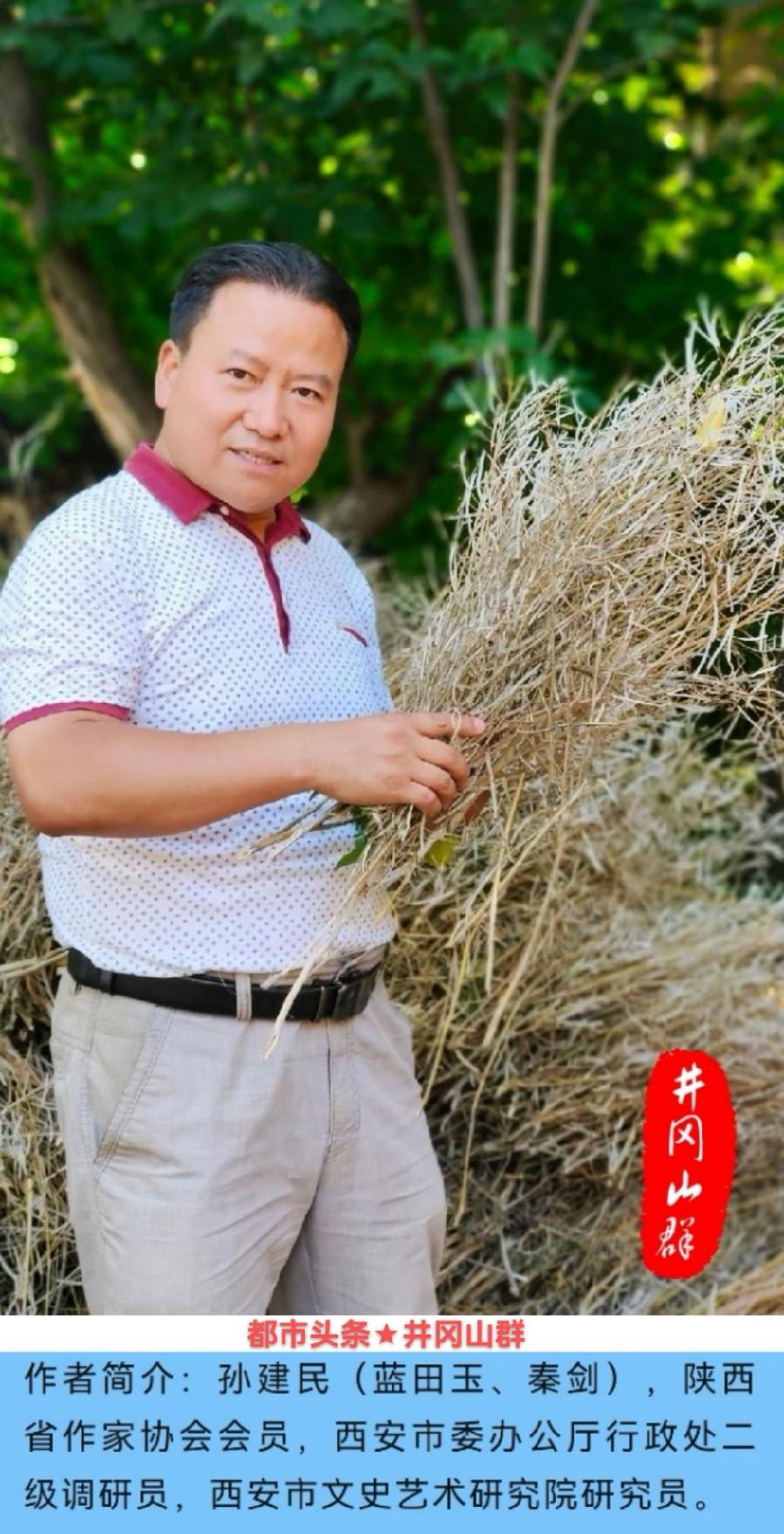 牡丹花开动京城——“牡丹王”范亚莲印象～作者||秦剑（图35）