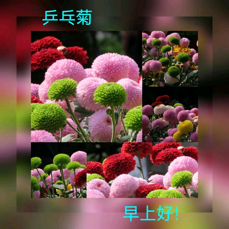 联机全球发布马洪武作品欣赏（图234）