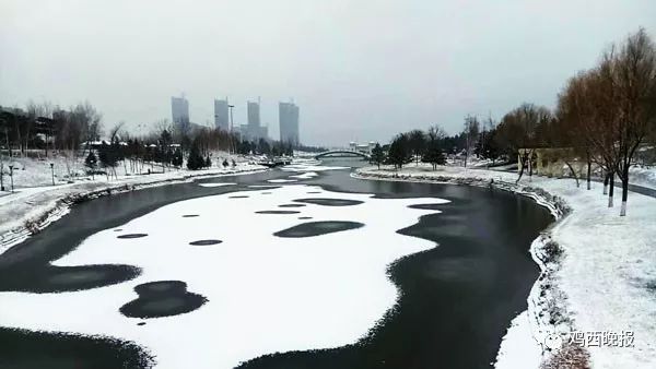 踏雪寻梅的畅想(外一篇) 文/李景和(图3)