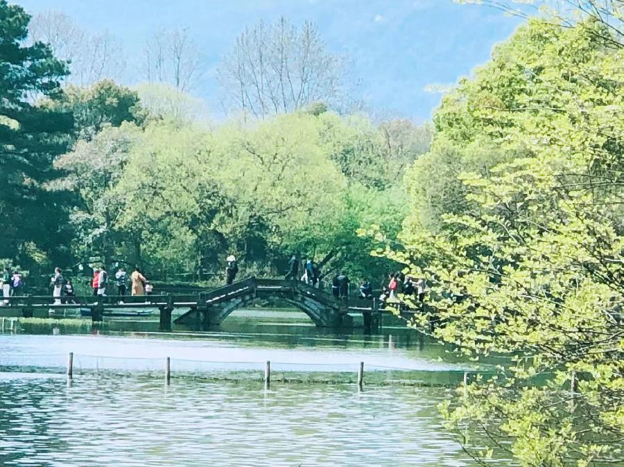 【都市文坛撷英】散文||西湖怀想文/毛怡凤 图/雷海鹰（图9）