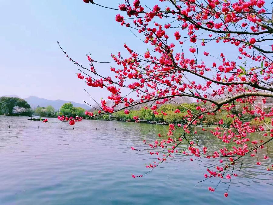 【都市文坛撷英】散文||西湖怀想文/毛怡凤 图/雷海鹰(图13)