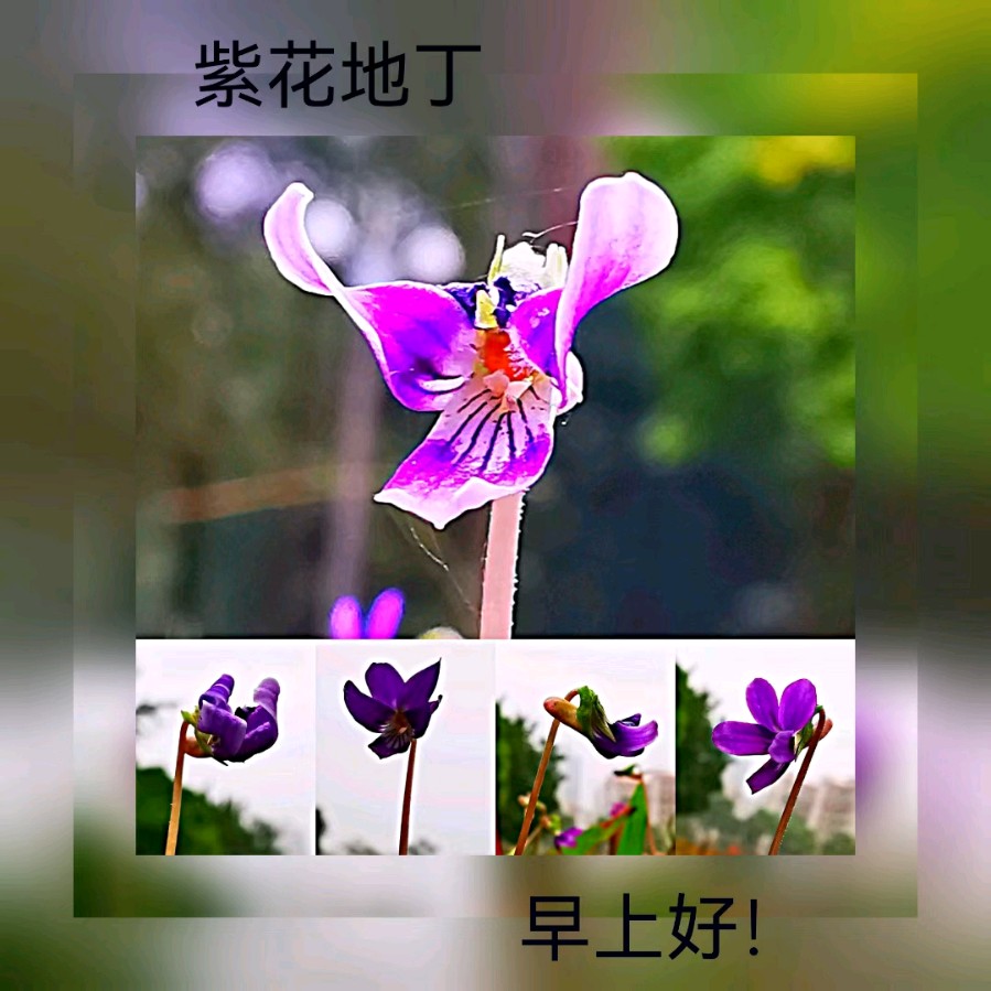 联机全球发布马洪武作品欣赏（图232）