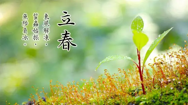《迎春诗词专辑》（诗友合集）8308期【新京都文艺】（图5）
