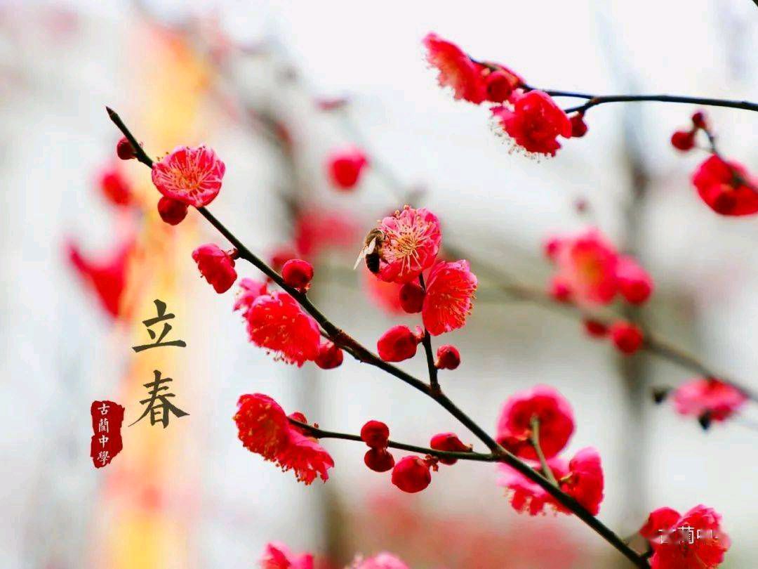 石家庄藁城区诗词协会同题诗第三十六期《立春》（图13）