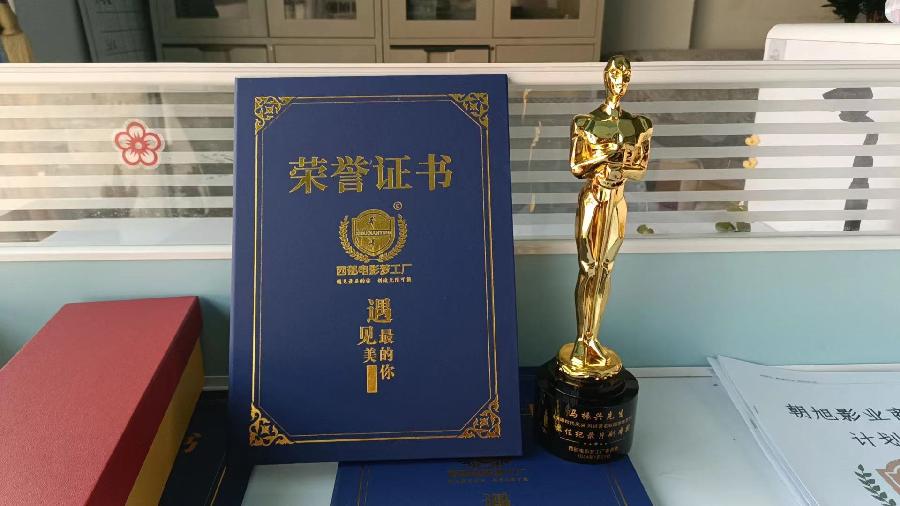 世界文学联盟//名家马振兴佳作《再访陈思思————演绎时代风采之演绎时代中国工人的浪漫与精彩》(图3)