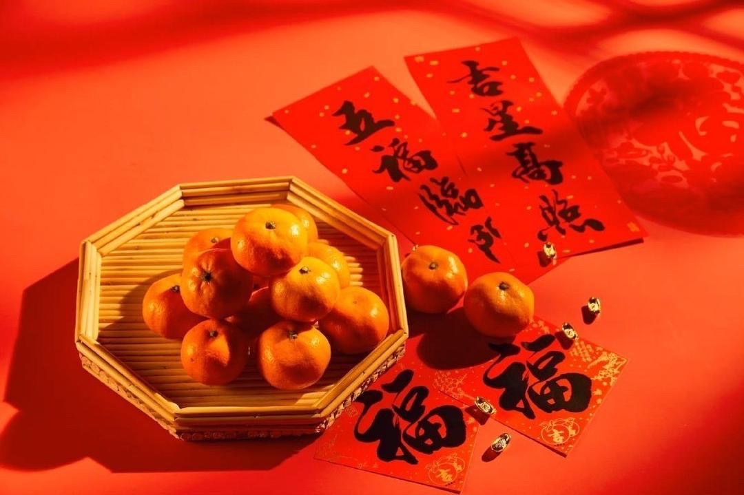 【新诗大观】迎新春诗五首||文/谢爱民(图3)