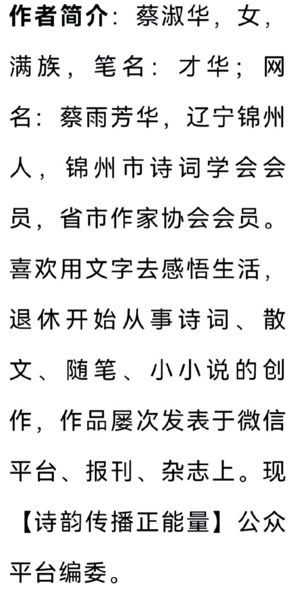 【萧乡文学】蔡雨芳华|阿莲（中篇小说片段）（图3）