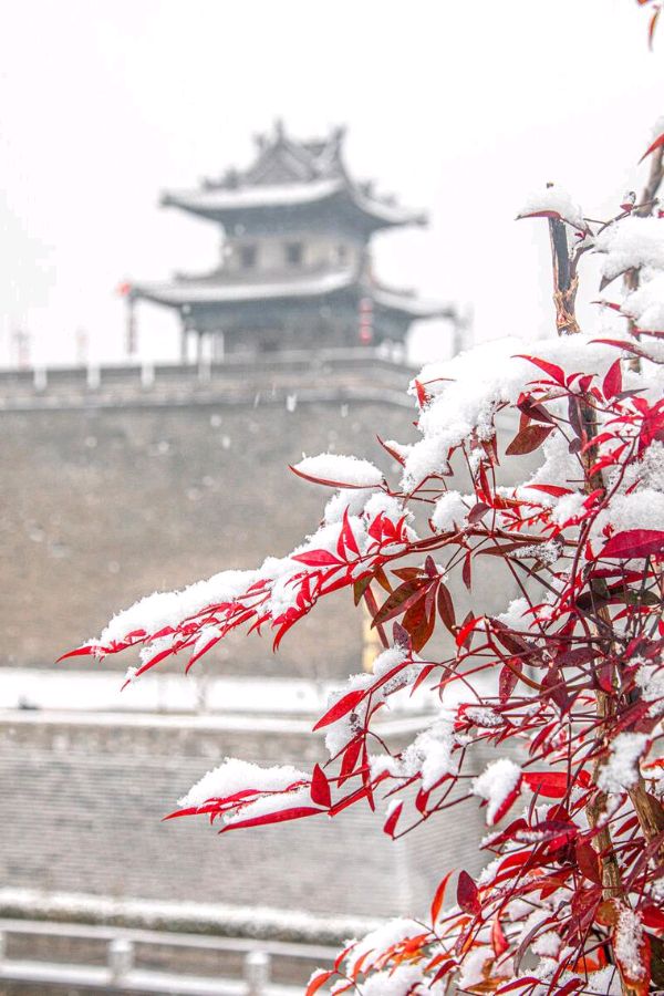 《腊月.雪》作者:李瑞明【主播:我还是我】【中国现代诗歌文化传媒】徜徉诗的海洋聆听天籁之音♬（图6）