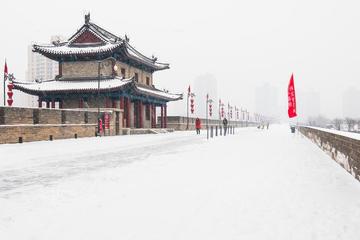 《腊月.雪》作者:李瑞明【主播:我还是我】【中国现代诗歌文化传媒】徜徉诗的海洋聆听天籁之音♬（图3）