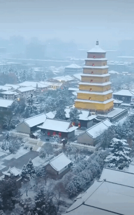 《腊月.雪》作者:李瑞明【主播:我还是我】【中国现代诗歌文化传媒】徜徉诗的海洋聆听天籁之音♬（图5）