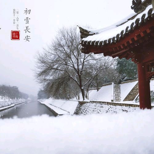 《腊月.雪》作者:李瑞明【主播:我还是我】【中国现代诗歌文化传媒】徜徉诗的海洋聆听天籁之音♬（图4）