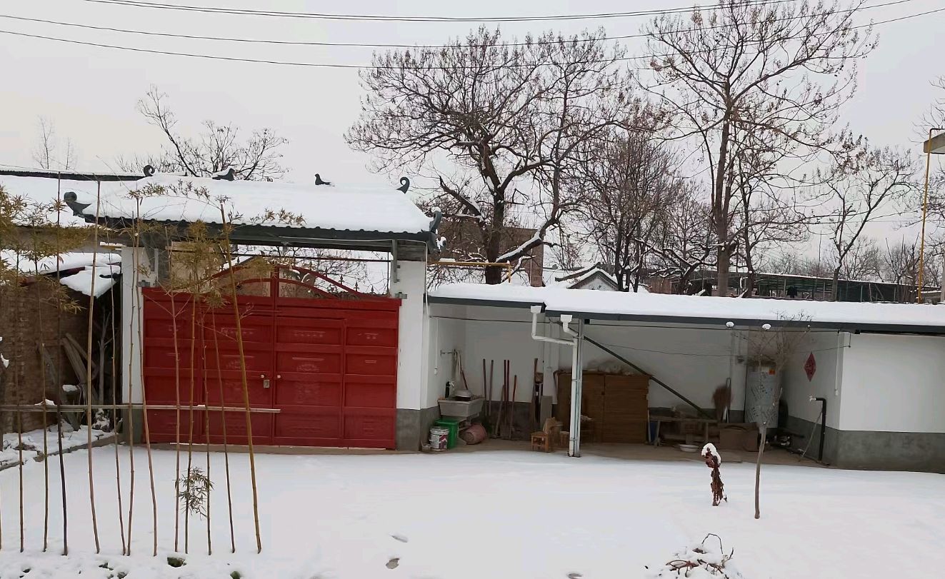老家的雪