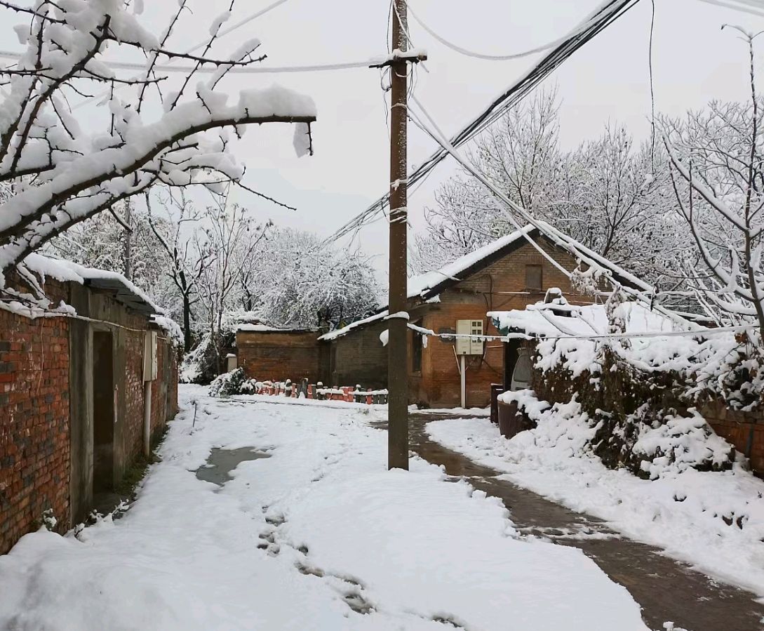 老家的雪（图2）