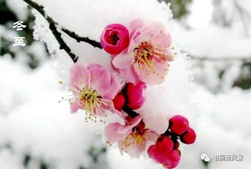 【名家风采】当雪花爱上了春天//文:张东军//《黄河诗魂》征稿//都市头条(图5)