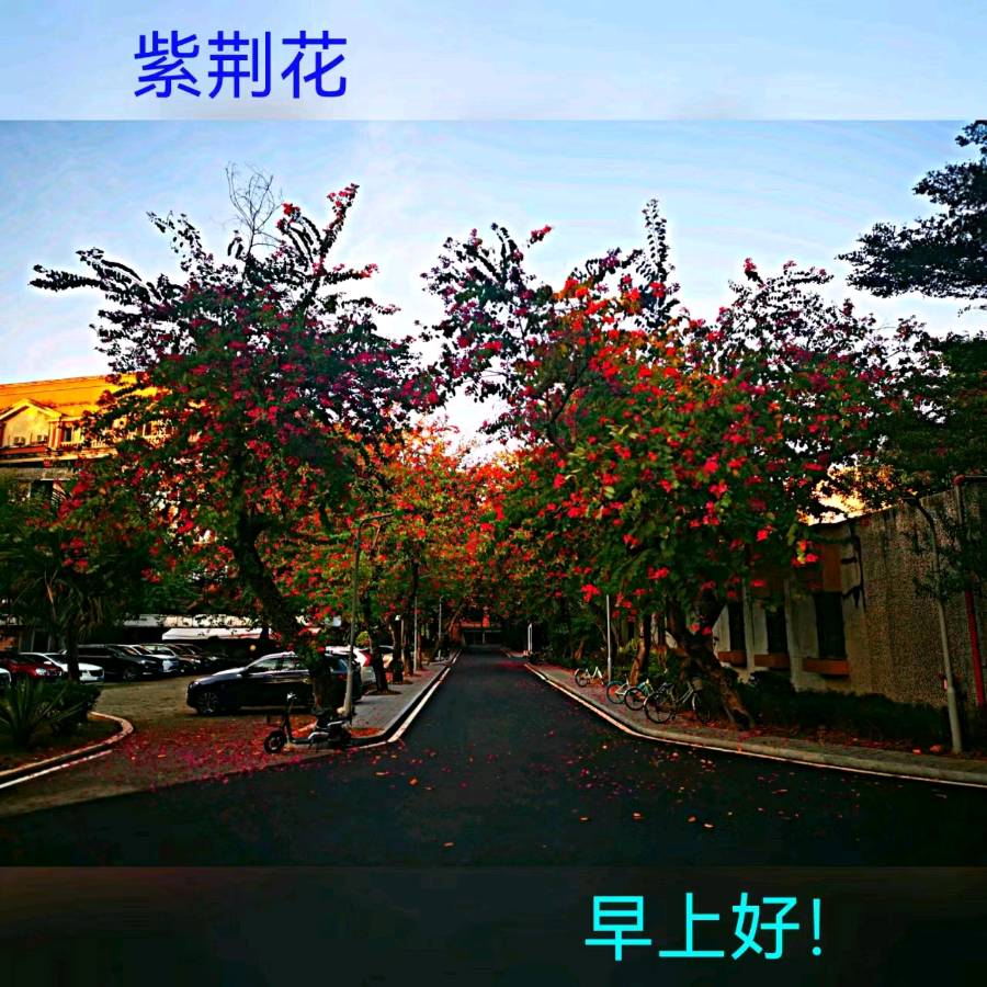 联机全球发布马洪武作品欣赏（图229）