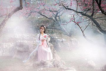 《桃花》作者:张维清【主播:青苗】【桃源国际诗歌文化传媒】用声音传递温暖以诵读致敬人生♬（图8）