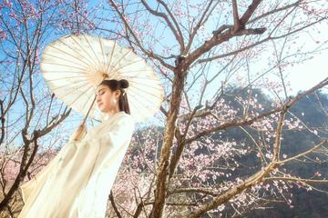 《桃花》作者:张维清【主播:青苗】【桃源国际诗歌文化传媒】用声音传递温暖以诵读致敬人生♬（图6）
