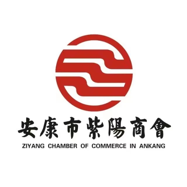 安康市紫阳商会举办“激发内需动力 共享商会红利”主题年会（图22）