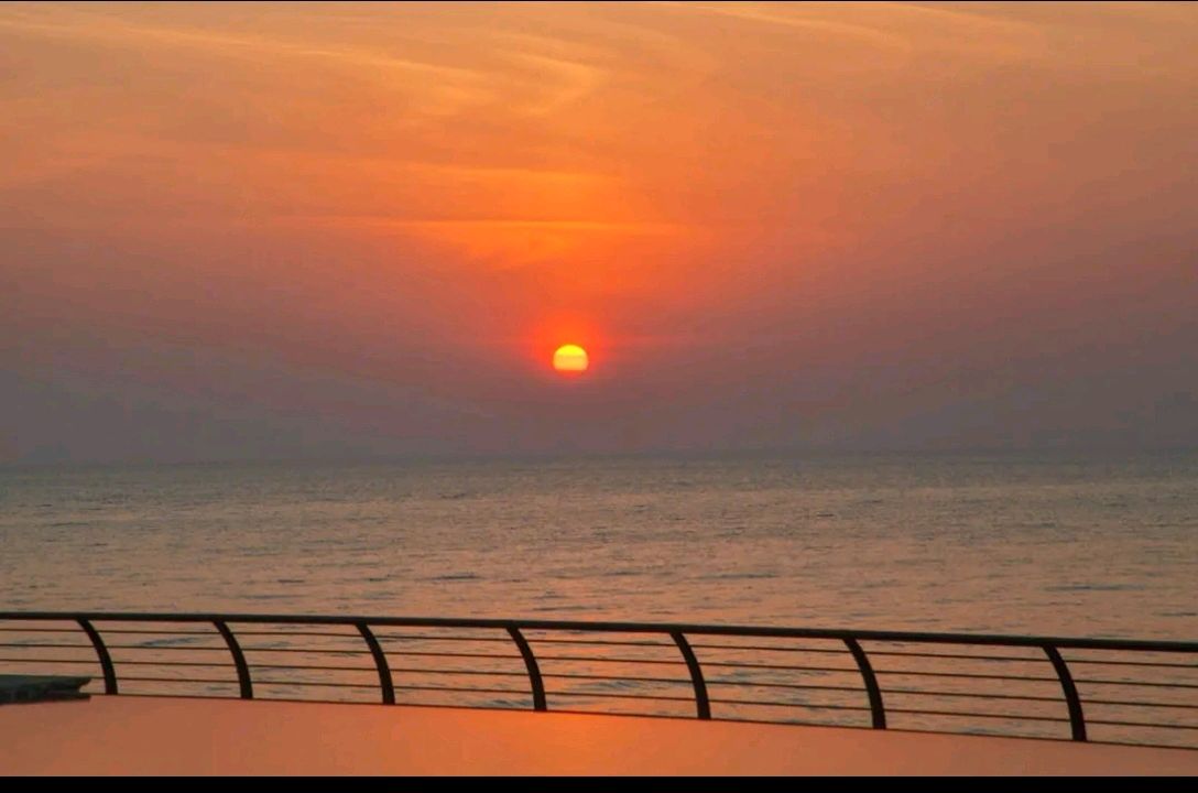 请欣赏劉玉章老师的作品《我漫步在冬日的夕阳里》 主播 君子兰 // 编辑 福音 [第7581期]（图5）