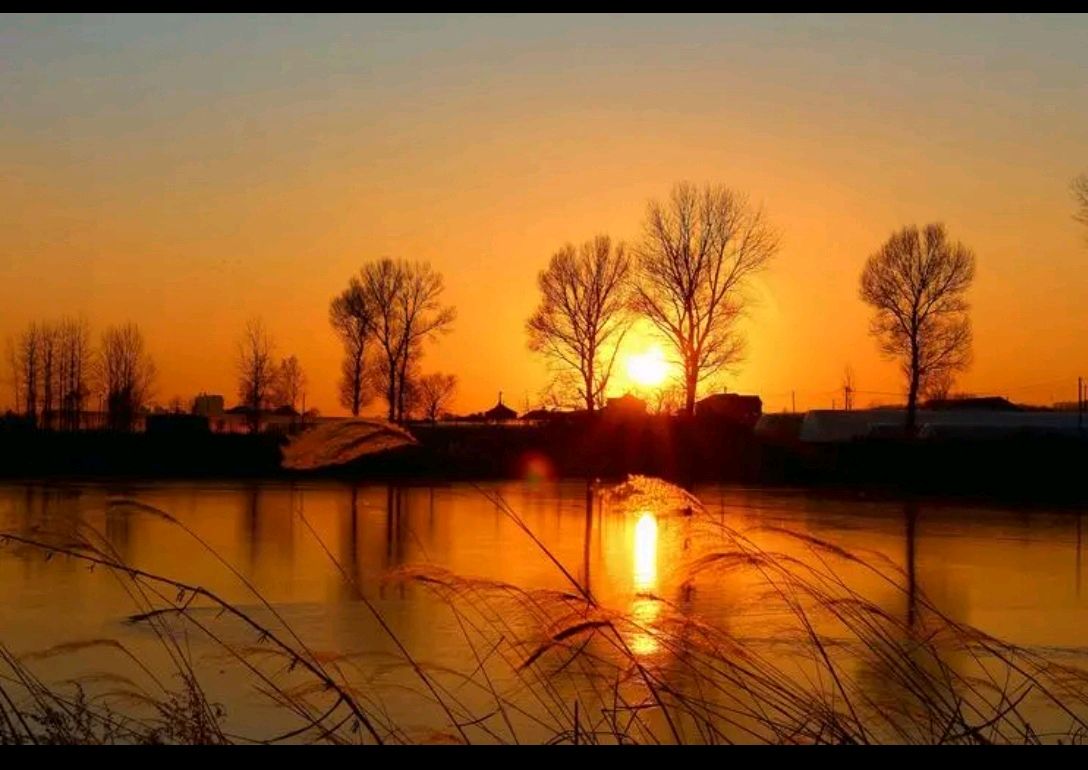 请欣赏劉玉章老师的作品《我漫步在冬日的夕阳里》 主播 君子兰 // 编辑 福音 [第7581期]（图6）