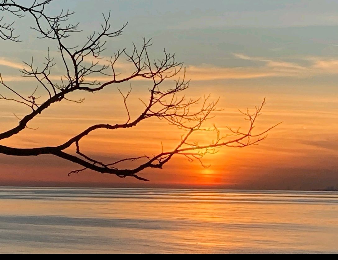 请欣赏劉玉章老师的作品《我漫步在冬日的夕阳里》 主播 君子兰 // 编辑 福音 [第7581期]（图7）