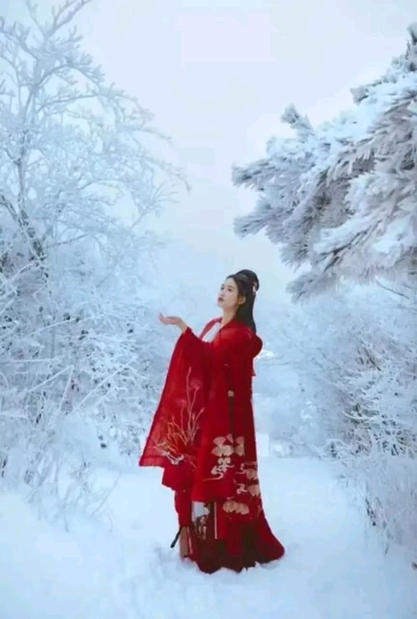 《红衣女子》作者/胡琴(图6)
