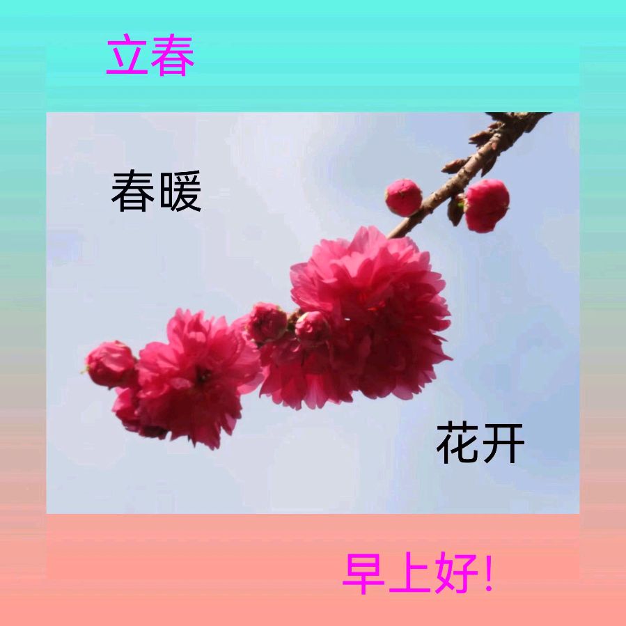 联机全球发布马洪武作品欣赏（图227）