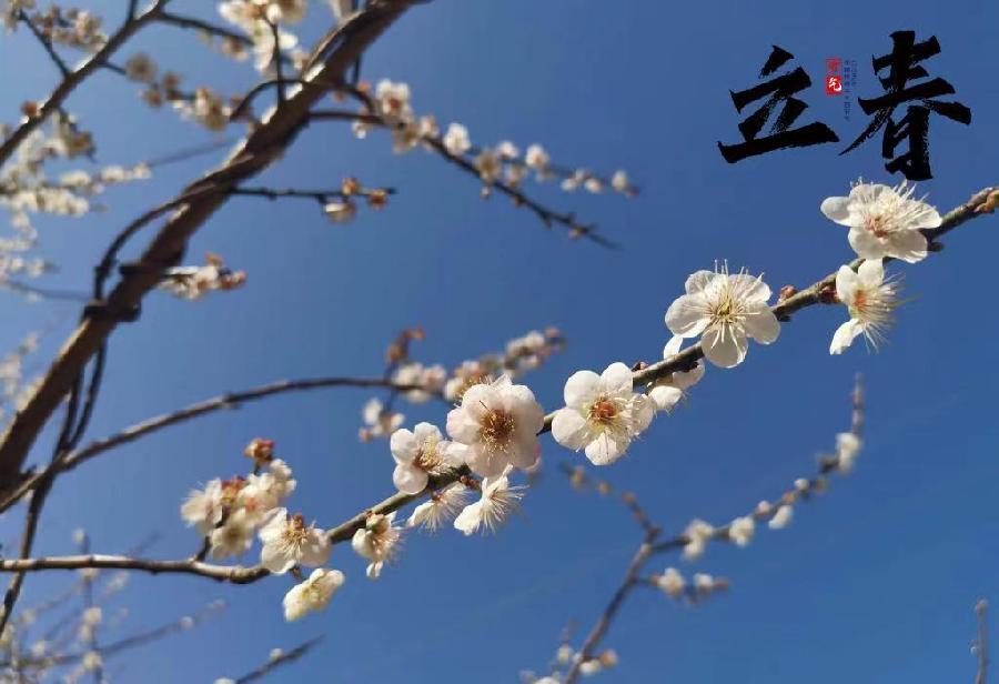 水调歌头-立春(外一首)词||吕志学(图9)