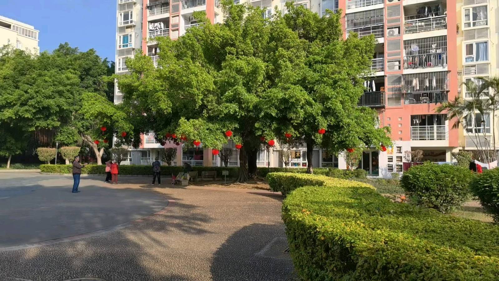 作者:徐飞鹏《春江水暖百花开》(立春即兴/新韵十三首)8362期【新京都文艺】(图9)