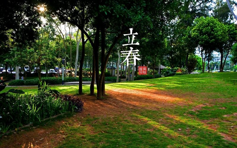 【重磅推出 春韵抒怀】鲁坡//春天来了[立春寄语]作品展（图3）