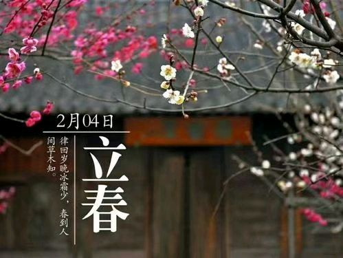 联机全球发布谭家猛作品欣赏（图19）