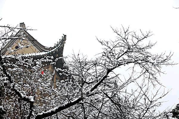 春之声朗诵【向冬季告别】作者/雷金钟（图6）