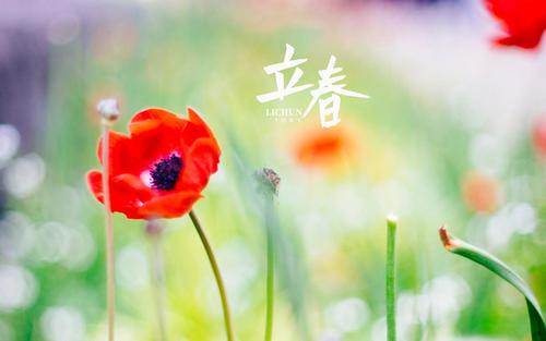 《九江文学社》《甲辰年立春》专刊【总第1983期】（图12）