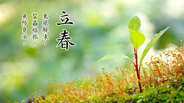 《九江文学社》《甲辰年立春》专刊【总第1983期】（图25）