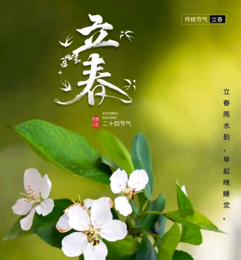 《九江文学社》《甲辰年立春》专刊【总第1983期】（图26）
