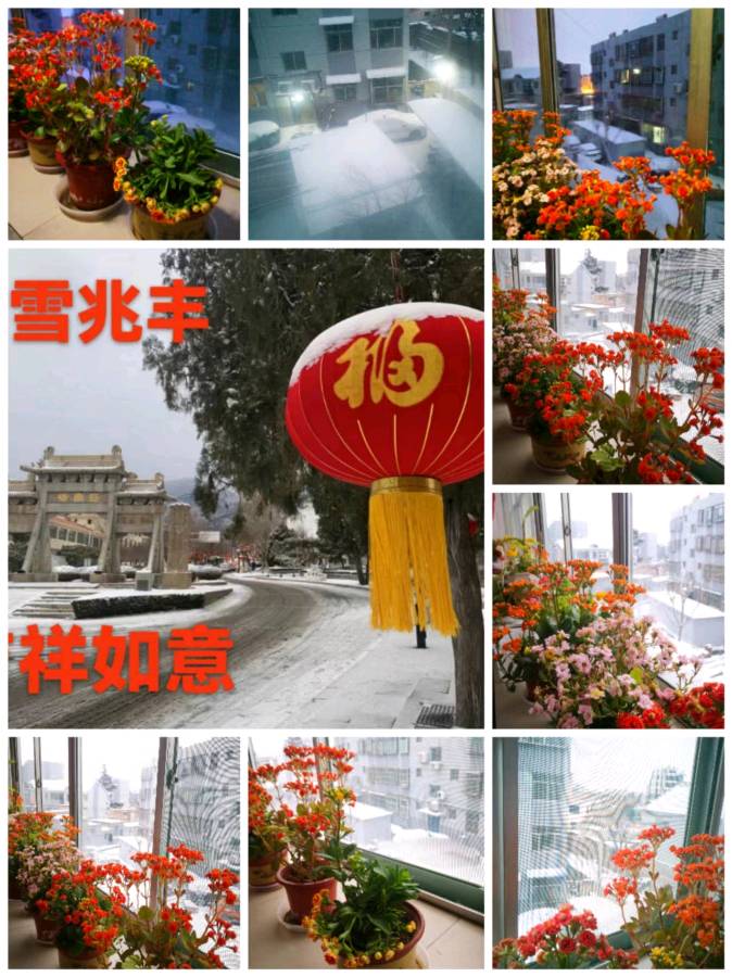 《九江文学社》《甲辰年立春》专刊【总第1983期】（图34）